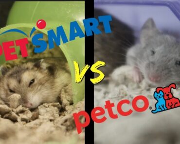 PETSMART vs PETCO