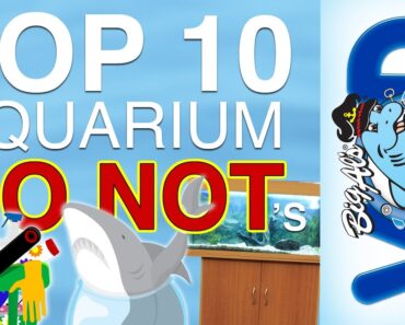 Top 10 Aquarium ‘Do Not’s
