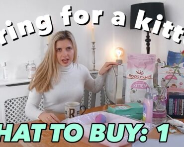 caring for a kitten