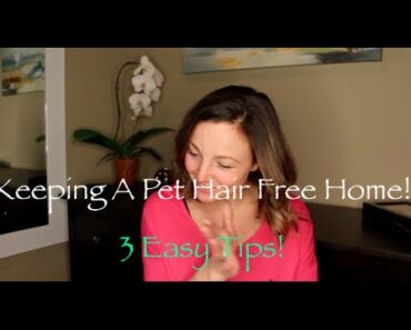 Keeping You Home Pet Hair Free!