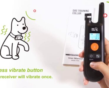 How to Use DogCare Dog Training Collar TC-01