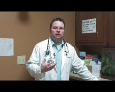 Dog Care Tips : How to Treat Dog Mange Dog Care Tips : How to Treat Dog Mange