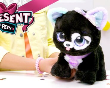 PRESENT PETS