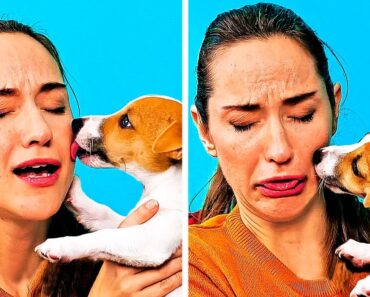 17 COOL HACKS AND CRAFTS EVERY PET OWNER SHOULD KNOW