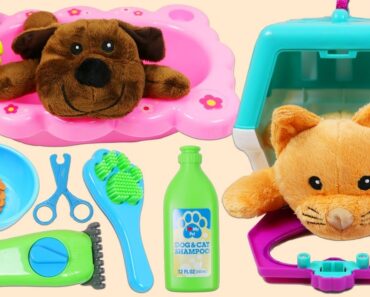 Feeding and Grooming Pet Care PlaySet with Cute Plush Puppy