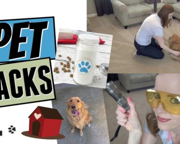 PET HACKS!