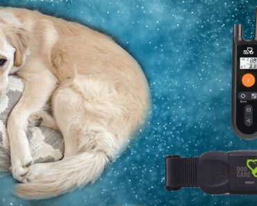 Dog Care Dog Training Collar Rechargeable Dog Shock Collar Review