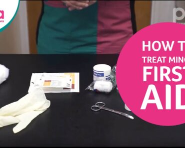 How To Treat Your Dog’s Minor Injuries At Home