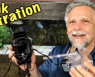 My 5 Best Aquarium Filtration Tips & Tricks! My 5 Best Aquarium Filtration Tips & Tricks!