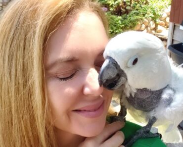 How to Bond With Your Birds