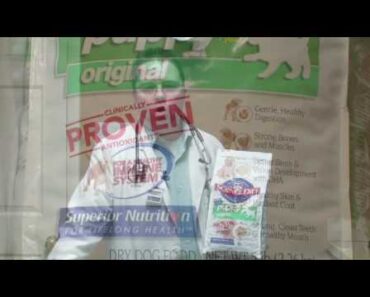 Dog Care Tips : Foods That Build the Immune System