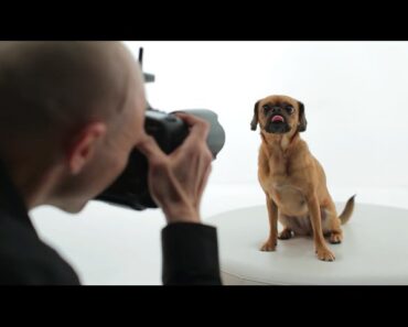 Canon Light Awards