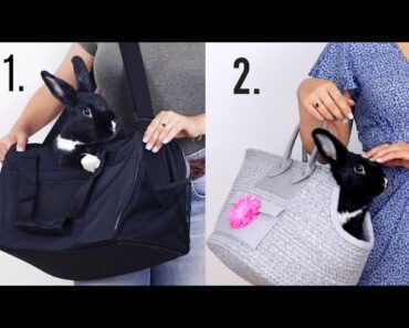 DIY SMALL PET CARRIERS!