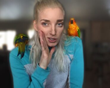 CONURE CARE