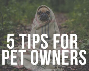 5 Tips for Pet Owners