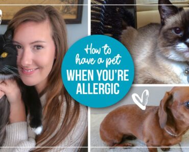 5 Tips for Managing Pet Allergies