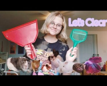 My Pet Routine on Cage Cleaning Night!