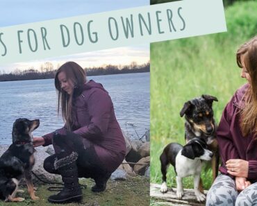 8 Tips for Extraordinary Dog Owners