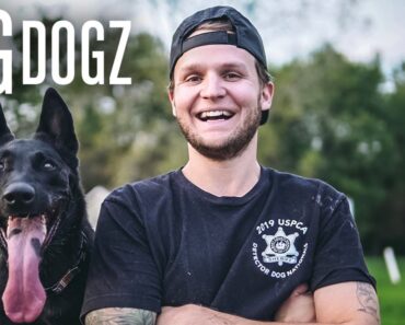 Meet Logan Paul’s Celebrity Dog Trainer Meet Logan Paul’s Celebrity Dog Trainer