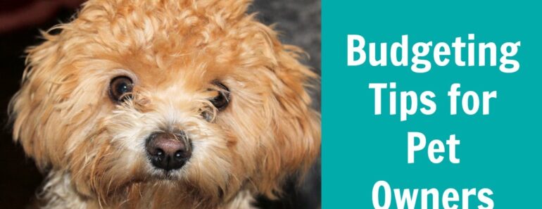 Budgeting Tips for Pet Owners Budgeting Tips for Pet Owners