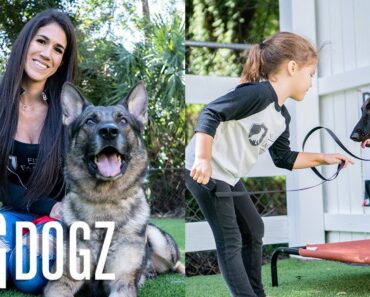 Training $70K Attack Dogs