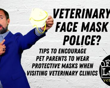 Veterinary Face Mask Police? Tips to Encourage Pet Parents to