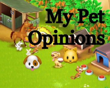 Beginner Farm Pet Tips