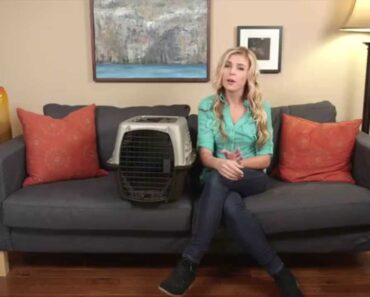 Tips for Crate-Training Your Cat