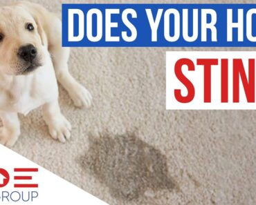 5 Home Selling Tips for Pet Owners