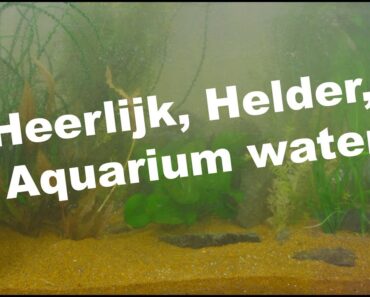 Heerlijk helder, aquarium water