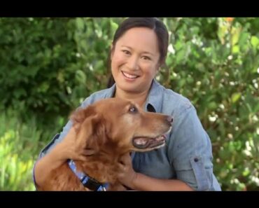 Dog Grooming & Dog Care (Petco)