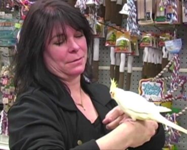 First Flight Exotic Birds: Bird Care Tips