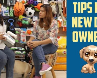 Tips For First Time Dog Owners