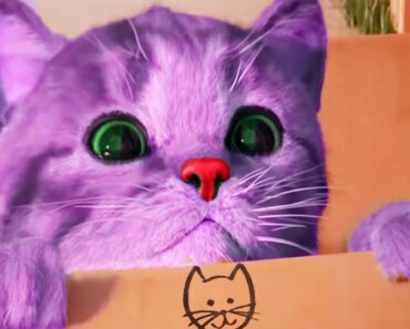 Play Little Kitten My Favorite Cat Pet Care Game –