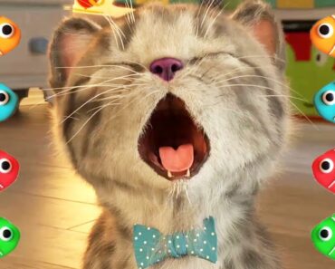 Little Kitten Preschool My Favorite Cat Pet Care