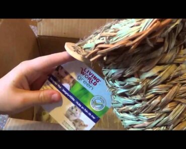 Package opening from hagen small pet care!