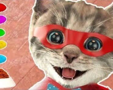 Little Kitten My Favorite Cat Pet Care