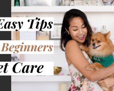10 Easy Pet Care Tips for Beginners!
