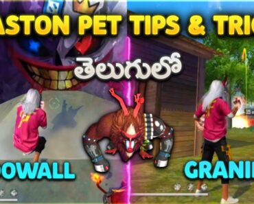 Free fire new beaston pet top 6 gloowall and granide
