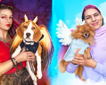 Good vs Bad Pet Owners