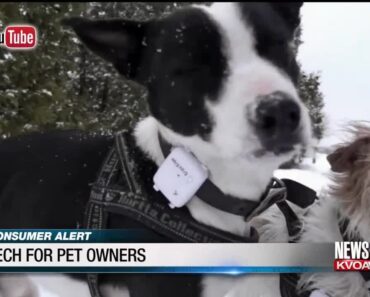 Tech Tips: Technology for pet owners