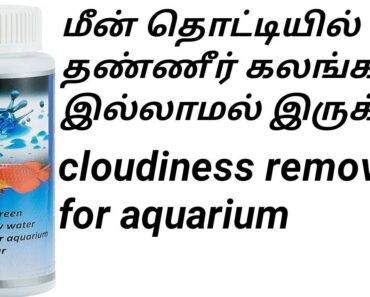 தண்ணீர் கலங்கள் இல்லாமல் இருக்க / Cloudiness Remover
