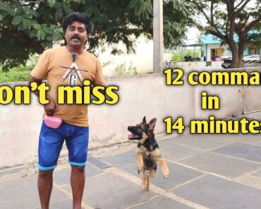 12 commands in single video