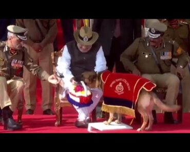 BSF Dog Welcomes Amit Shah With Flowers, Seeks Blessings ;