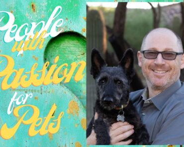 Veterinary Tips for Dog Owners Living in Desert Climates