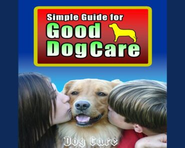 Basic Obedience Tips for Dog Owners Basic Obedience Tips for Dog Owners