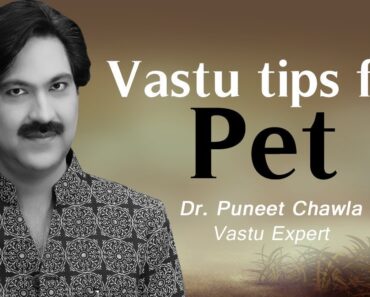 Vastu Tips for Pet | Pet Vastu Tips